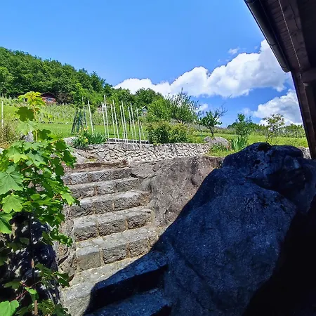 Vineyard Kralj Ursna Sela