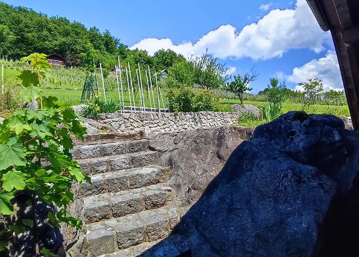 Vineyard Kralj Ursna Sela